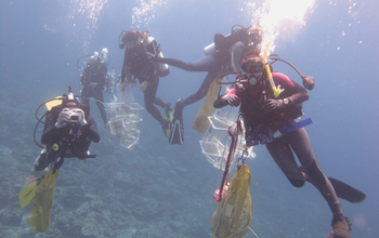 A team of divers descending to survey and sample a reef for microbes.