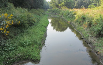Low flow in a stream. Non-extreme rainfall is essential for maintaining ecosystem functions.