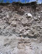 A block and ash flow deposit from a Tarawera eruption; it was one of several sites sampled.