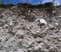 A block and ash flow deposit from a Tarawera eruption; it was one of several sites sampled.