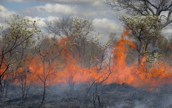 Fires in Kruger National Park, South Africa, August 2010.
