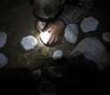 Paleobiologist Sterling Nesbitt labeling plaster jackets containing the bones of <em>T. rhadinus.</em>