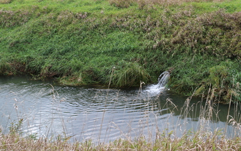 Farm fields in the Midwest often have tile drains under them; the drains are nutrient conduits.