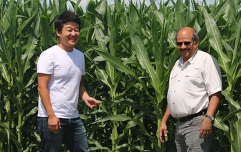 Scientists Dong Kook Woo (left) and Praveen Kumar study nutrients in corn productivity.