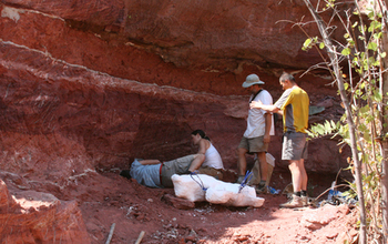 Paleontologists remove the remaining portions of Rukwatitan's skeleton from the quarry.