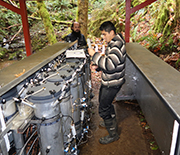 LTER scientists study organic matter in streambed sediments under controlled conditions.