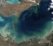 A 2011 freshwater harmful algae bloom turned Lake Erie a bright blue-green.