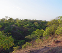 View of the scientists' field camp in the Rukwa Rift Basin in southwestern Tanzania.