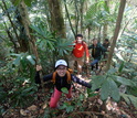 researchers in the forest