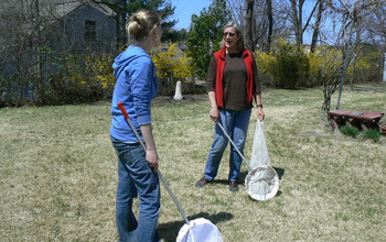Two female scientists holding nets to capture bees.