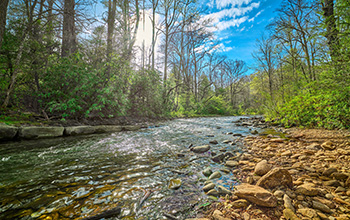 The Mills River in the Pisgah National Forest, North Carolina.