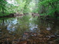 Streams of the Smoky Mountains