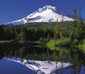 view of  Mount Hood reflecting in a lake