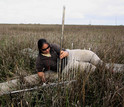 Surface-elevation measurement in a marsh near Myrtle Grove, Louisiana.