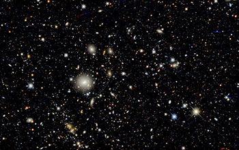 Dark Energy Camera image of distant galaxies