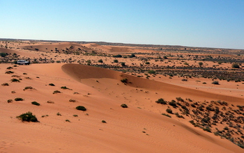 Red sand dunes in Africa's Kalahari Desert.