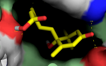 Hypothetical model of ABA stress hormone produced naturally by plants