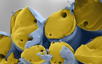 Artificially-colored SEM image of sugar strands (yellow) and a polymer coating (blue)
