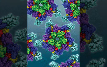 Simulations demonstrated the possibility that cholesterol -- colored yellow, orange and red in this graphic -- may actually bind to sites within the protein's transmembrane domain