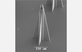 SEM of a rocket-shaped microneedle