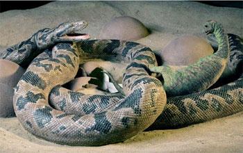 Sculpture capturing moment when prehistoric snake is about to feed on a hatchling dinosaur