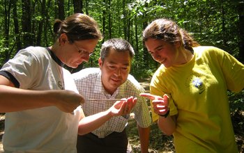 Examining the ring density of <em>Alanthus altissa</em>, an urban invasive species