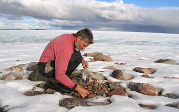 Gifford Miller collects rooted tundra plants