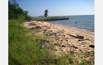 Beach following summer of heavy oiling and cleanup efforts from the Deepwater Horizon oil spill