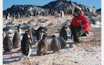 Jean Pennycook observes and tracks Adelie penguin families at Cape Royds, Antarctica