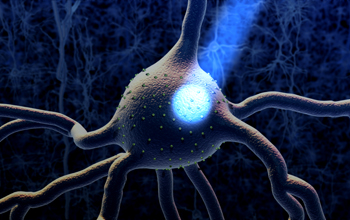 Neuron expresses light-gated cation channel