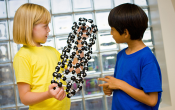 Children at the Sciencenter in Ithaca, N.Y., examine a model of a carbon nanotube
