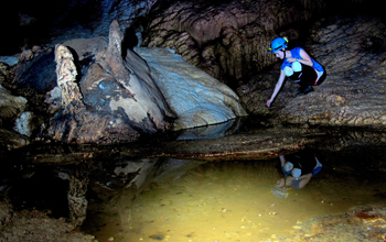 Collecting pool water from Lagang Cave in Gunung Mulu National Park, Borneo, for study