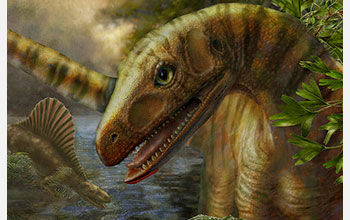 <em>Asilisaurus</em>