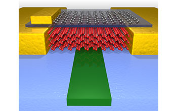 A high performance photodetector
