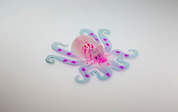 Multimedia Gallery - First autonomous, entirely soft robot (Image 3) | NSF  - National Science Foundation