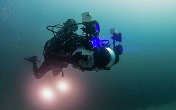 Professor David Gruber dives with a 