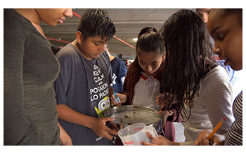 Students participating in the Billion Oyster Project examine organisms they pulled from New York Harbor
