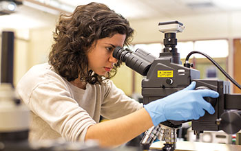 A student looks at a microelectromechanical systems (MEMS) device