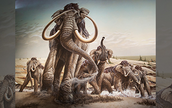 Herd of Columbian mammoths moves across the plains