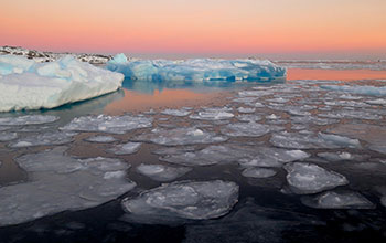 Small icebergs and pancake ice near Palmer Station