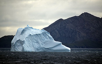 Iceberg in Rosita Harbor, South Georgia Island
