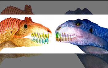 Comparison of jaws and teeth of <em>Allosaurus</em> and <em>Majungasaurus</em>