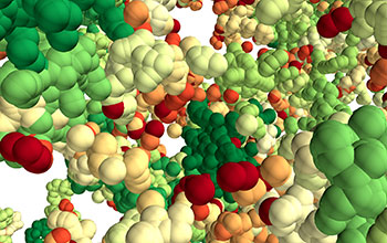 A 3D forest of chromatin