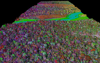 The lowland Amazon rainforest canopy as seen by the Global Airborne Observatory