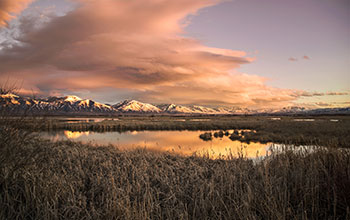 Cutler Marsh in Cache County, Utah