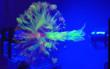 Vortex cannons fired in a 75-gallon aquarium produce vortices
