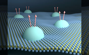 Monolayer semiconductor hosts 'composite fermions'