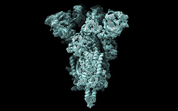 CryoDRGN reconstruction of the SARS-CoV-2 spike protein