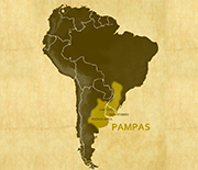 Map showing the Pampas, site of RELAMPAGO-CACTI.