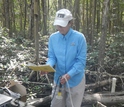 Hydrologist Rene Price in the Florida Everglades sampling water and looking at notes